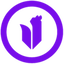 Toronto Ultra