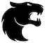 FURIA Esports