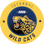 Istanbul Wildcats