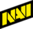 Natus Vincere