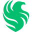 Falcons Esport
