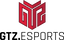 GTZ Esports