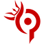 Team Paradox