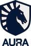Team Liquid ID