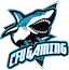 CFU Gaming