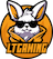 LT Gaming