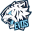 EVOS Academy